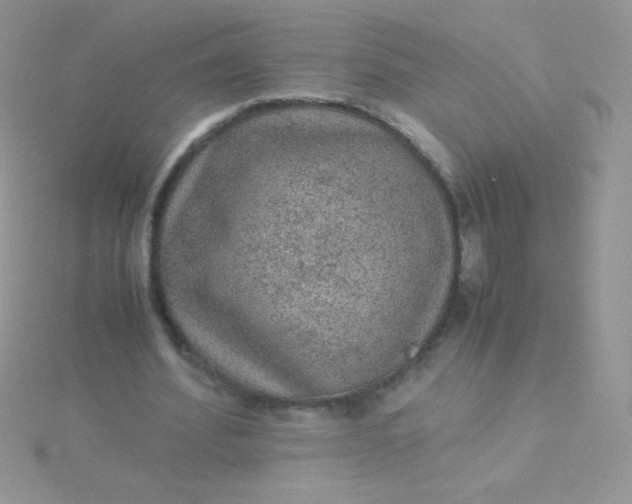 X0000115580580200911241514