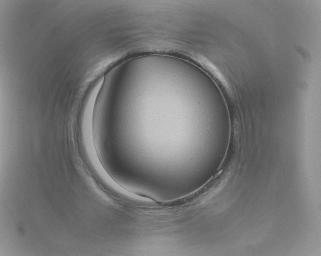 X0000115580581200911241514