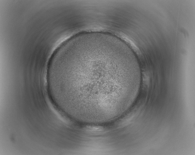 X0000115580582200911241514