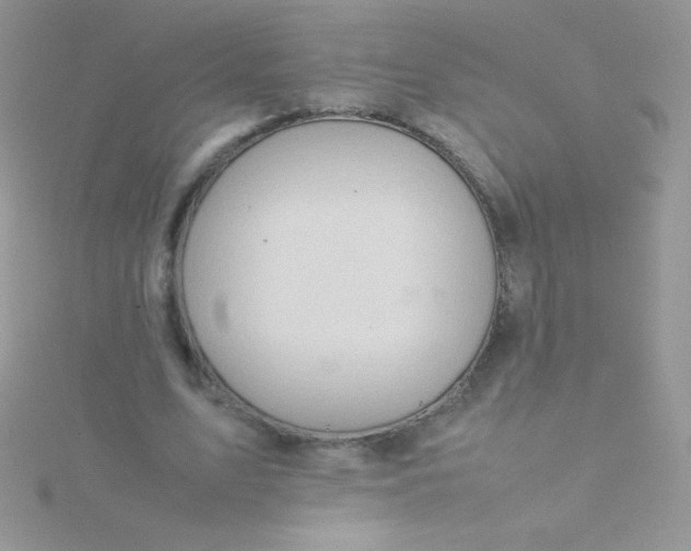 X0000115580583200911241514