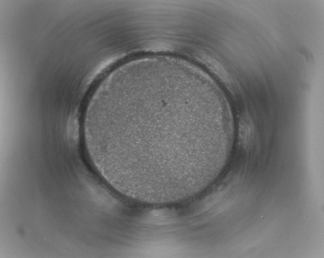 X0000115580584200911241514