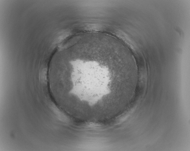 X0000115580585200911241514