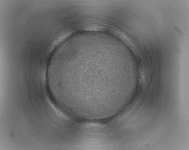 X0000115580586200911241514