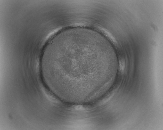 X0000115580588200911241514