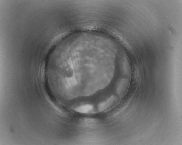 X0000115580590200911241514