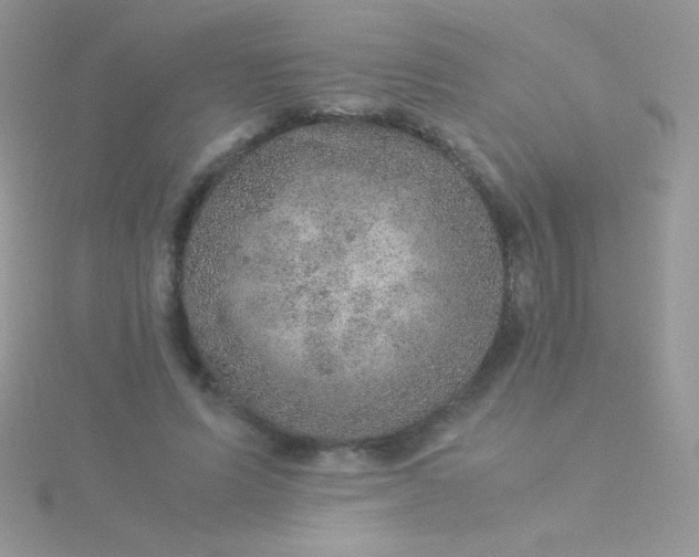 X0000115580591200911241514