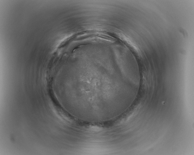 X0000115580592200911241514