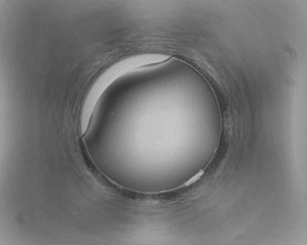 X0000115580593200911241514