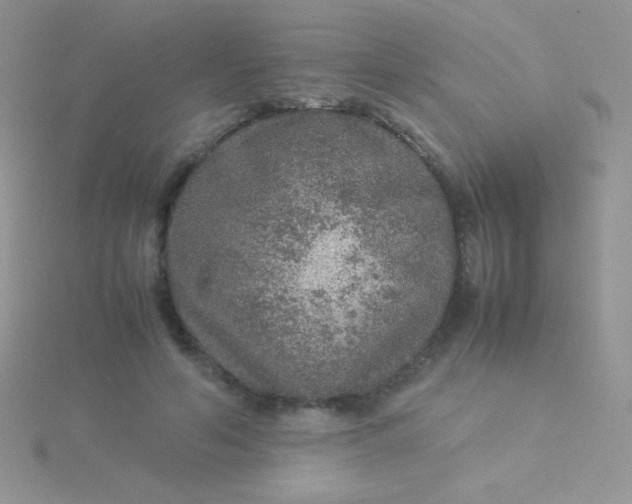 X0000115580594200911241514