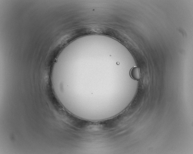 X0000115580595200911241514