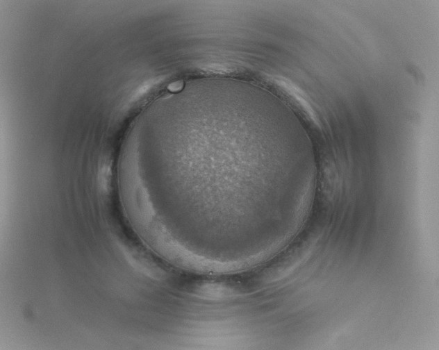 X0000115580596200911241514