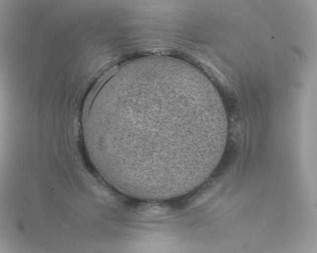 X0000115580597200911241514