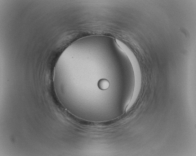 X0000115580599200911241514