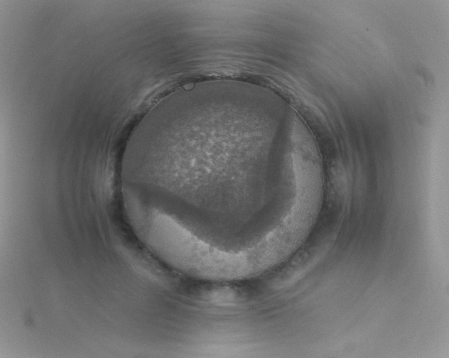 X0000115580600200911241514