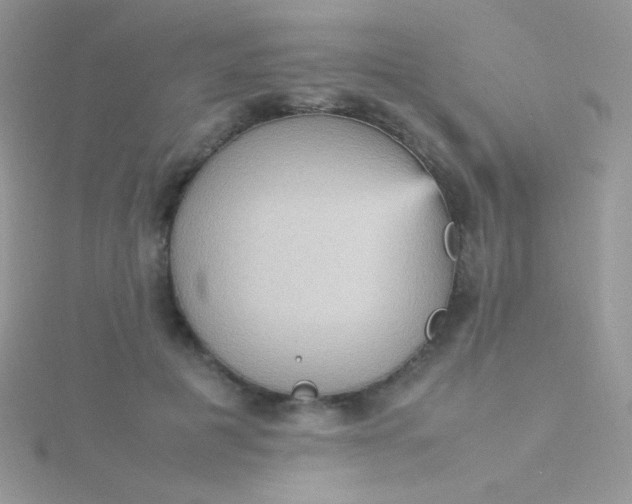 X0000115580601200911241514