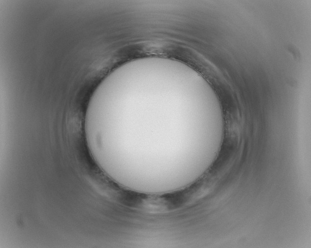 X0000115580603200911241514