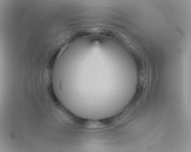 X0000115580605200911241514