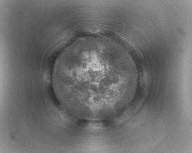 X0000115580606200911241514