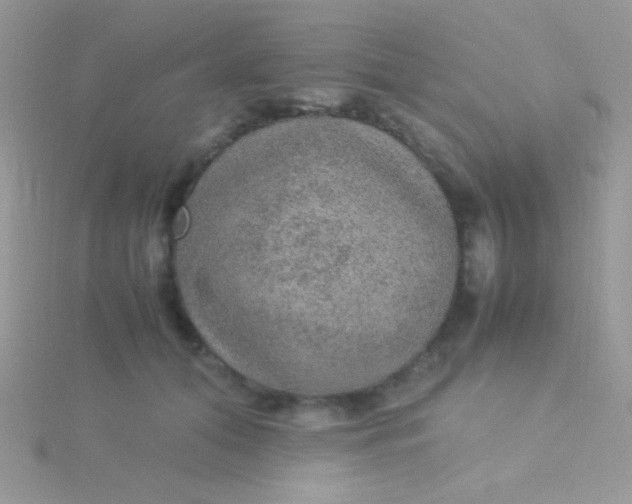 X0000115580608200911241514