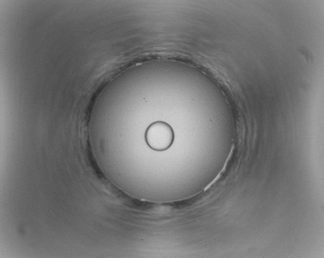 X0000115580609200911241514