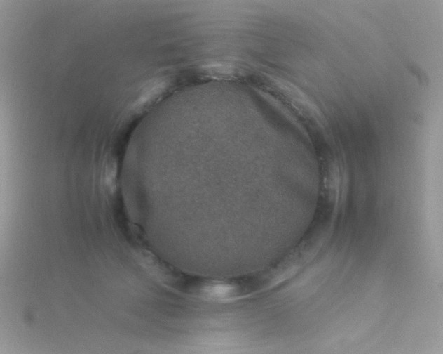 X0000115580610200911241514