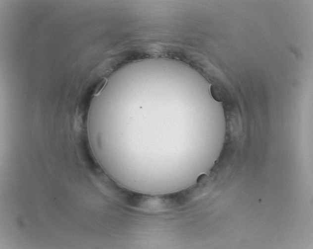 X0000115580611200911241514