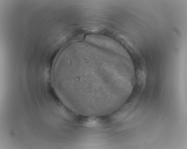 X0000115580612200911241514