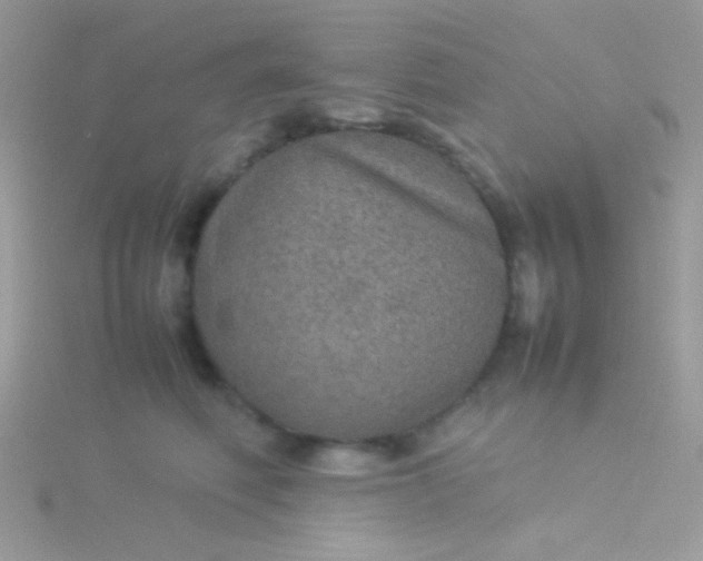 X0000115580614200911241514