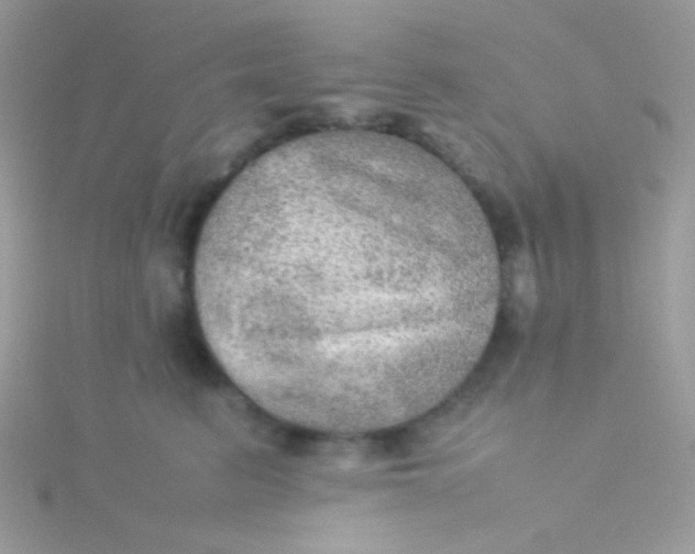 X0000115580615200911241514