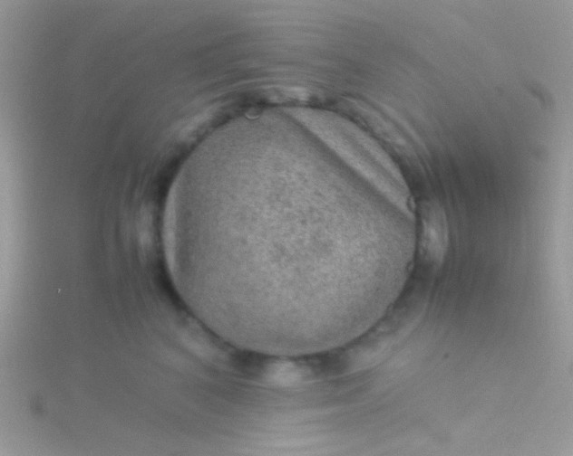 X0000115580616200911241514