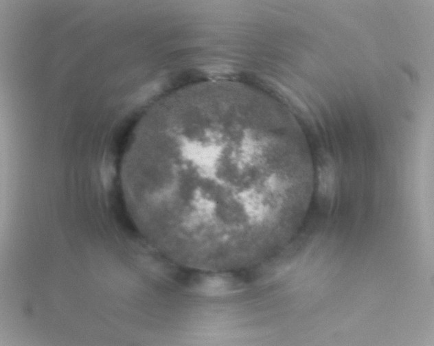 X0000115580618200911241514