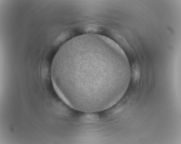 X0000115580619200911241514