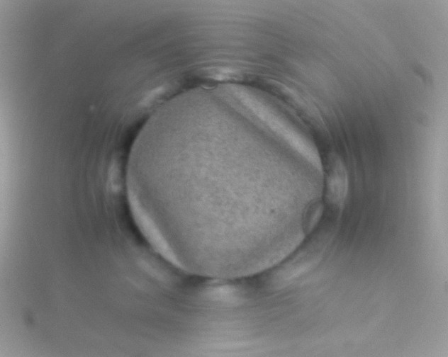 X0000115580620200911241514