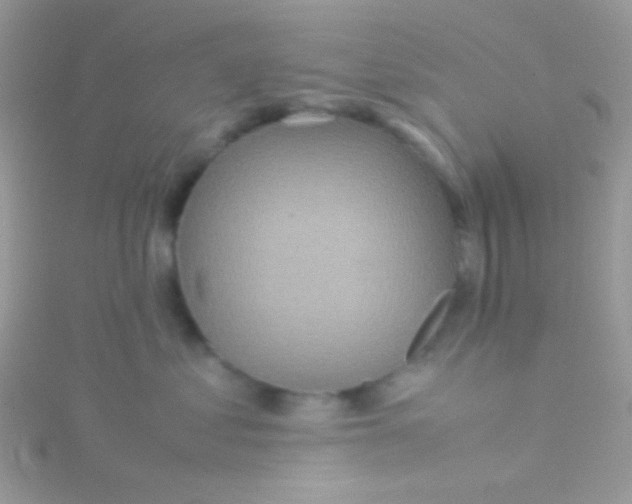 X0000115580621200911241514