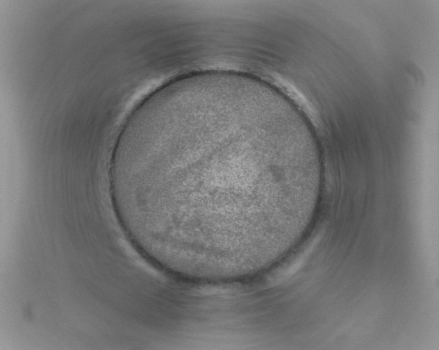 X0000115580625200911241513