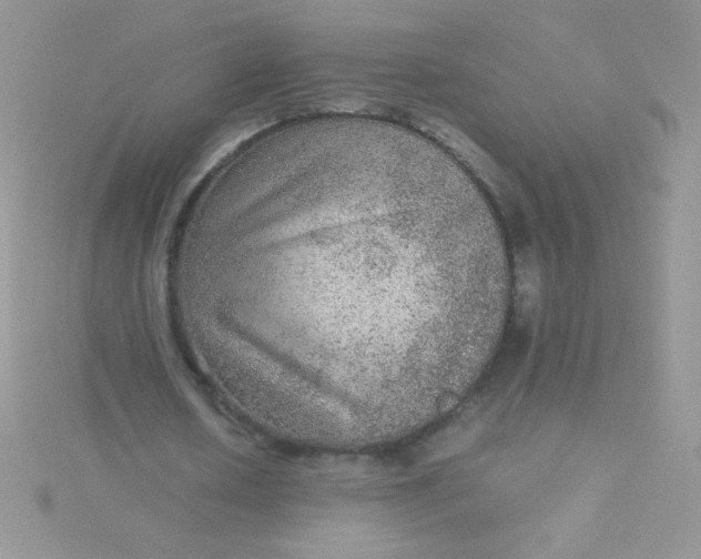 X0000115580626200911241513