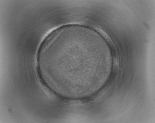 X0000115580628200911241513