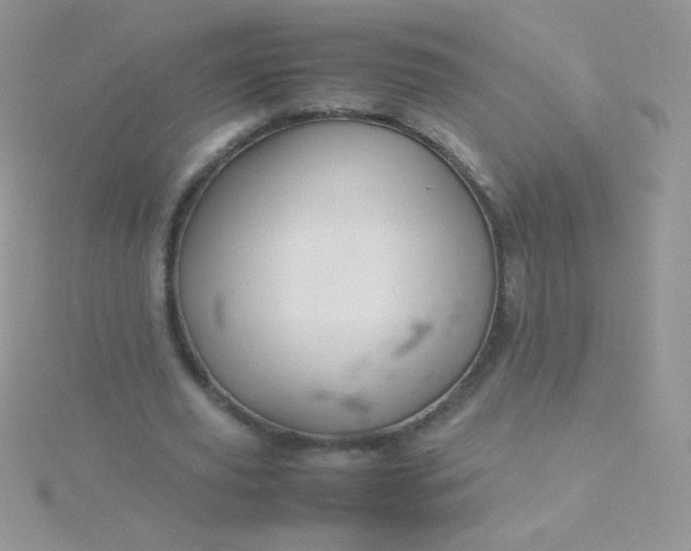 X0000115580629200911241513