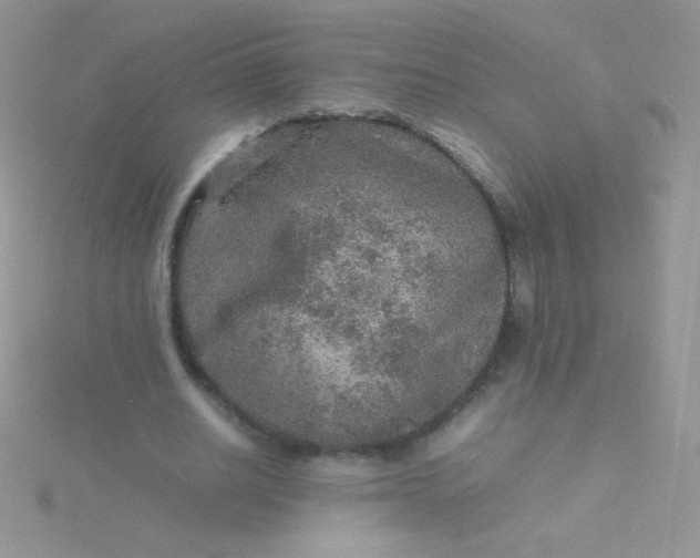 X0000115580630200911241513