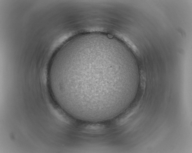 X0000115580631200911241513