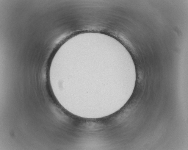 X0000115580632200911241513