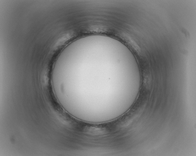 X0000115580635200911241513