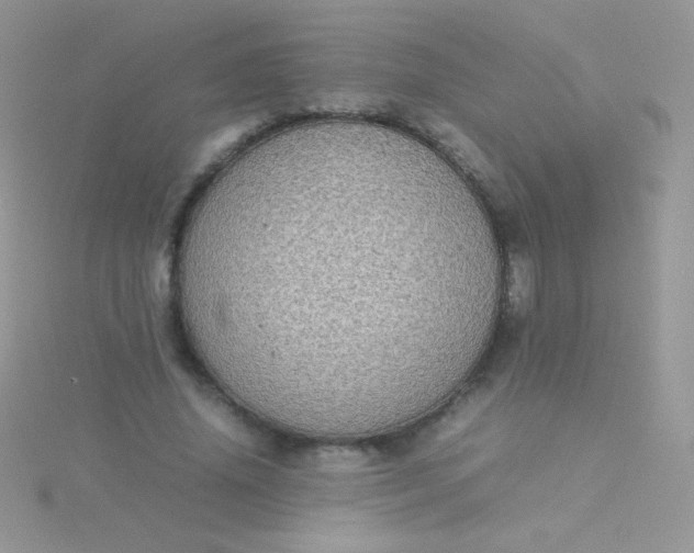 X0000115580636200911241513