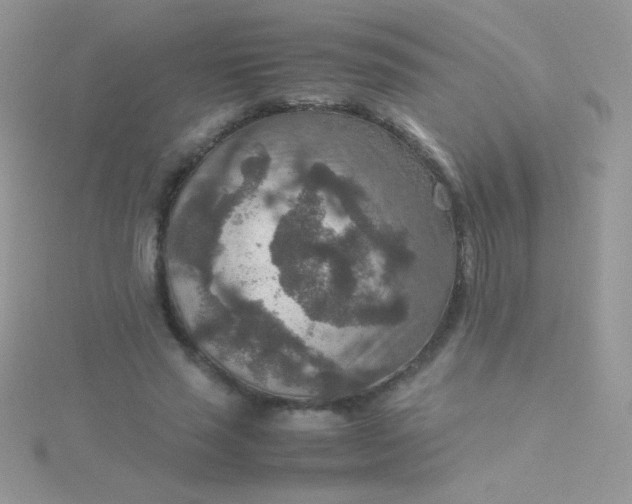 X0000115580637200911241513