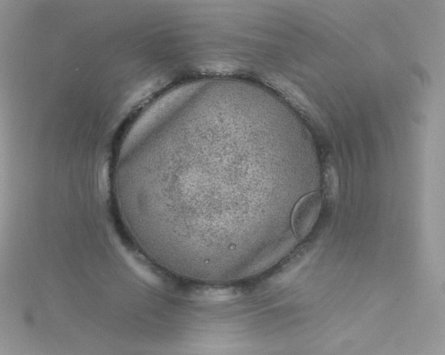 X0000115580638200911241513