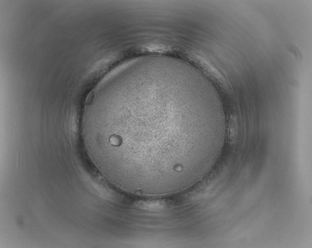 X0000115580639200911241513