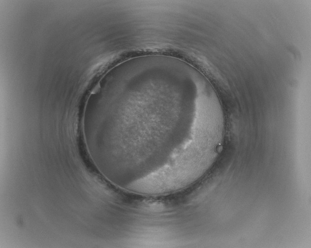 X0000115580640200911241513