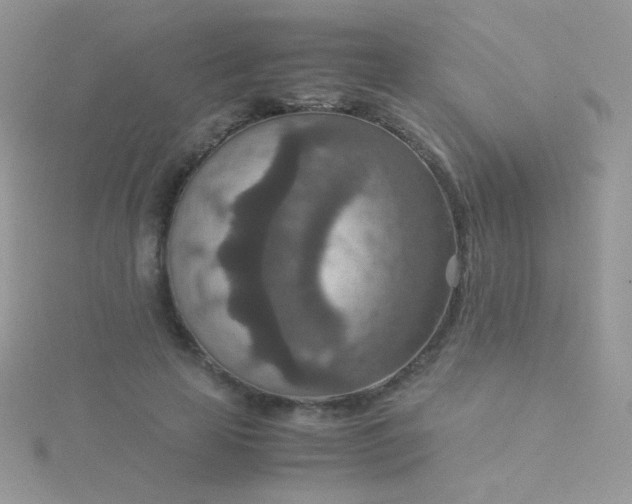 X0000115580641200911241513