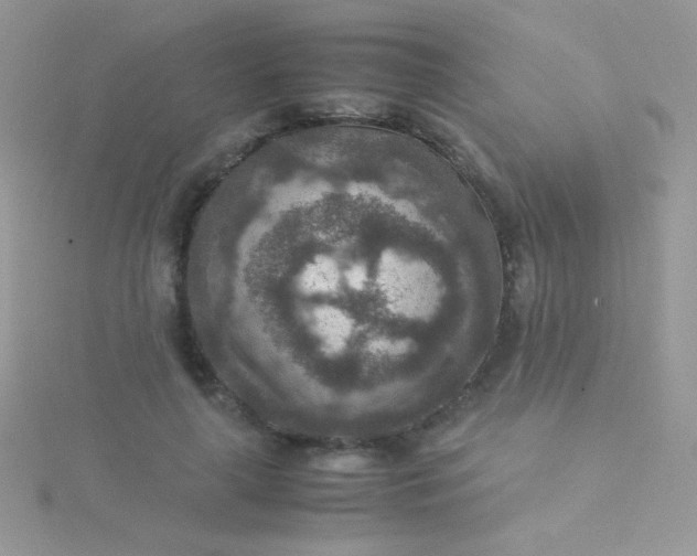 X0000115580643200911241513