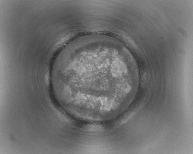 X0000115580644200911241513